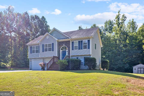 Cornus, COVINGTON, GA 30016