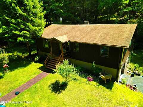 Mink, BUSHKILL, PA 18324