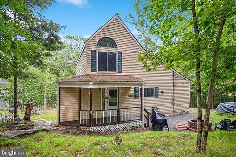 Blueberry, LACKAWAXEN, PA 18435