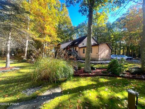 Buttercup, MILFORD, PA 18337