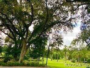 179Th Court, DUNNELLON, FL 34432