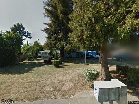 Camellia, SPRINGFIELD, OR 97478