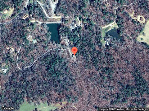 Azalea, ELLIJAY, GA 30536