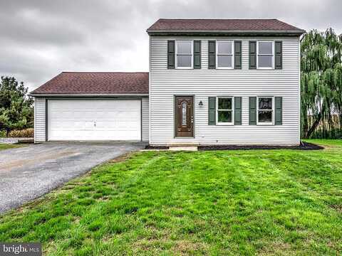 Misty, MOUNT JOY, PA 17552