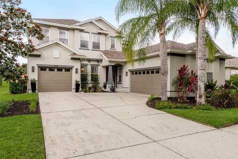 Handel, LAND O LAKES, FL 34637