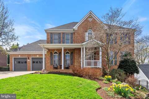 Seldon, WINCHESTER, VA 22601