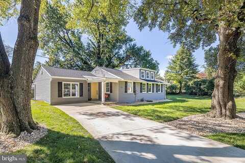 Terry, FALLS CHURCH, VA 22042
