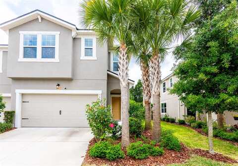 Grand Sonata, LUTZ, FL 33558