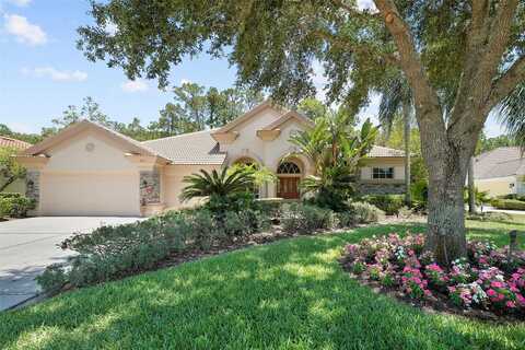 Quill, PALM HARBOR, FL 34685