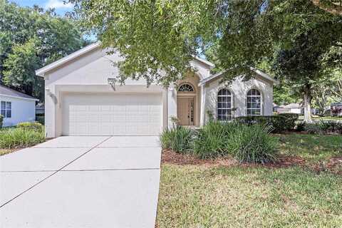 Kingsley, CLERMONT, FL 34711