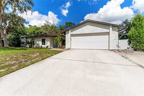 Briarlake, VALRICO, FL 33596