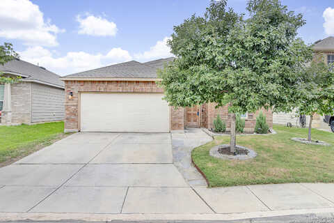 Indian, SCHERTZ, TX 78154