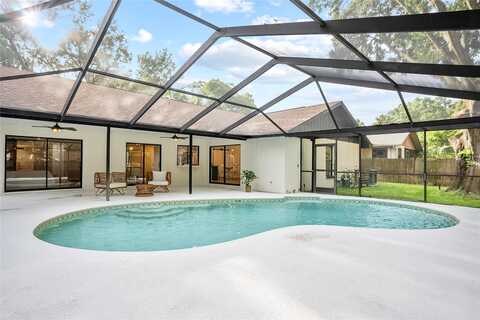 Briarpatch, VALRICO, FL 33596