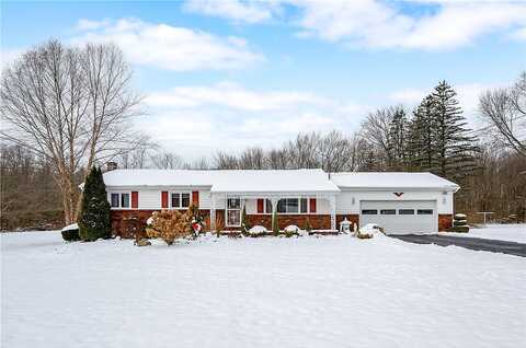 Lakeside, NEW CASTLE, PA 16105