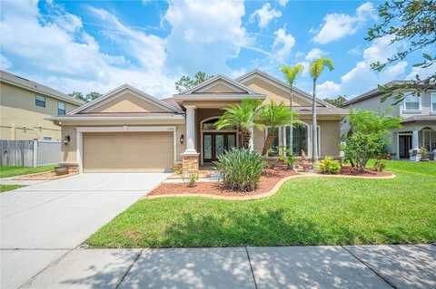 Himes, TAMPA, FL 33618