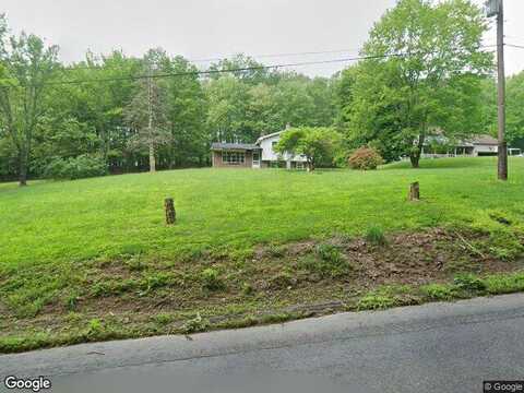 White Birch, ORWIGSBURG, PA 17961