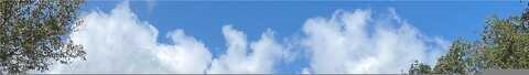 Zori, WINDERMERE, FL 34786