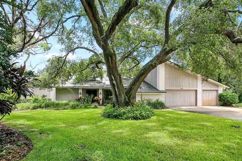 Sago, DUNEDIN, FL 34698