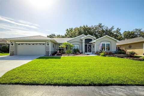Moshie, SAN ANTONIO, FL 33576