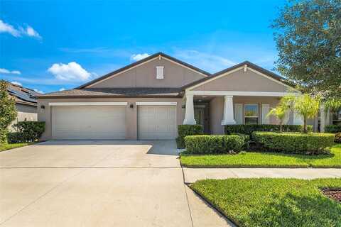 Crushed Grape, RIVERVIEW, FL 33578