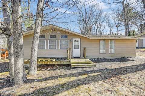 Chestnut, DINGMANS FERRY, PA 18328