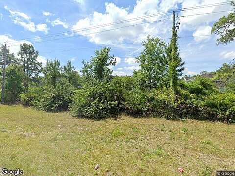 Hampton View, TAMPA, FL 33647