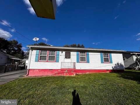 Green, WINCHESTER, VA 22601