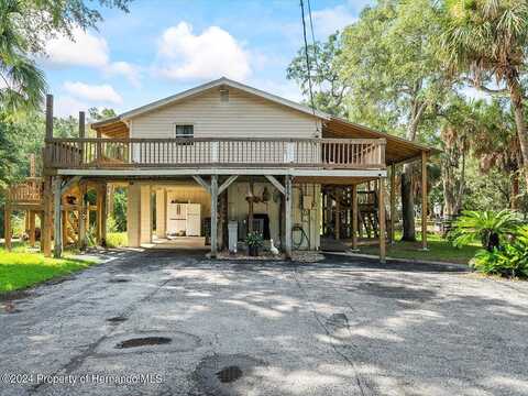 Beagle, HOMOSASSA, FL 34448