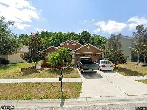 Sweet William, LAND O LAKES, FL 34639