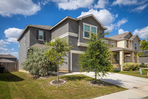 Legend, NEW BRAUNFELS, TX 78130