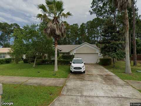 Bird Of Paradise, PALM COAST, FL 32137