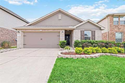 Dancing Daisy, RICHMOND, TX 77406