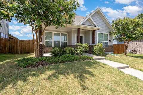 Cassinia, FORNEY, TX 75126