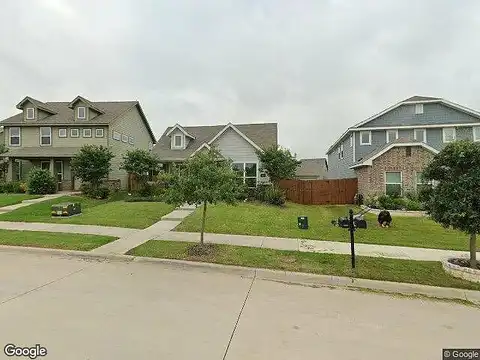 Cassinia, FORNEY, TX 75126