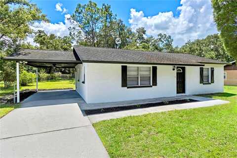 Willow, PLANT CITY, FL 33566