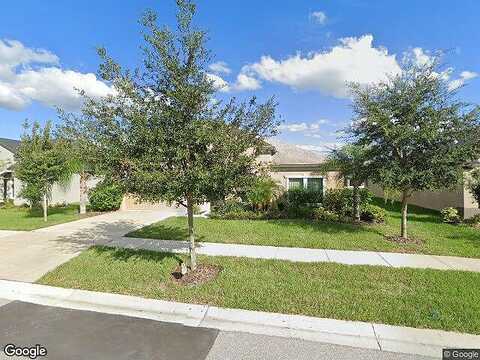 Shetland Ridge, VALRICO, FL 33596