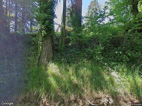 Old Lewis River, WOODLAND, WA 98674