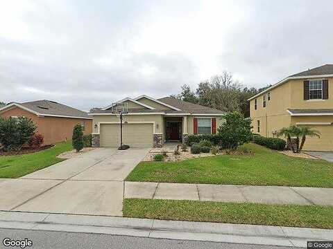 Holly Bluff, PLANT CITY, FL 33566