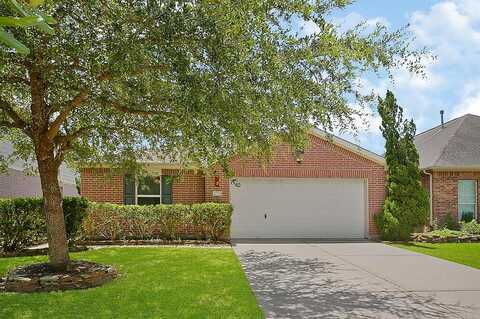 Lomelina, LEAGUE CITY, TX 77573