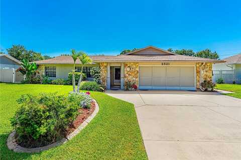 Queen Palm, EDGEWATER, FL 32141