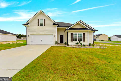 Sunflower, LUDOWICI, GA 31316
