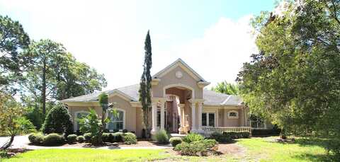 Nokota, HUDSON, FL 34667