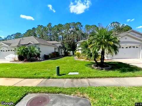 Sassafras, WESLEY CHAPEL, FL 33543