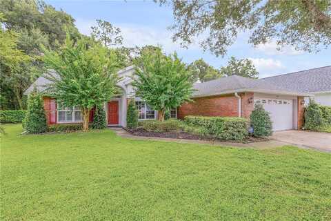 Weeping Willow, DELAND, FL 32724