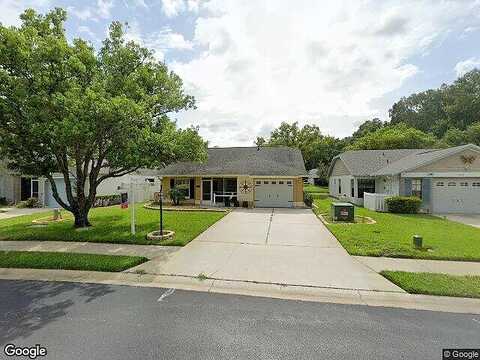 Loblolly Pine, NEW PORT RICHEY, FL 34654