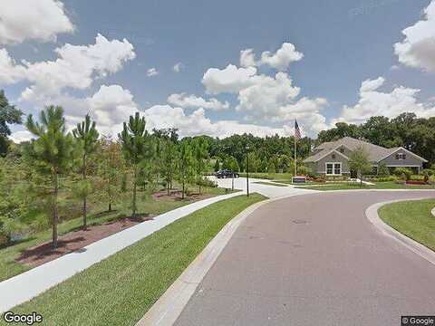 Tracey Ann, SEFFNER, FL 33584