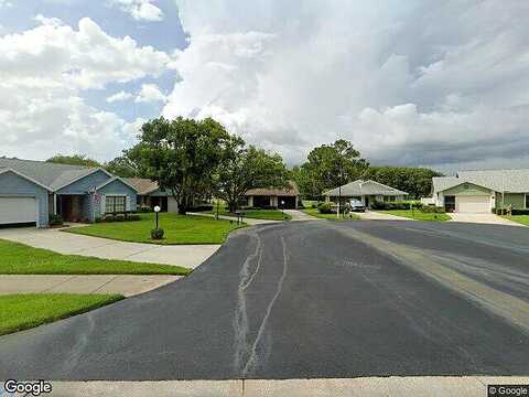 Pampas, NEW PORT RICHEY, FL 34654