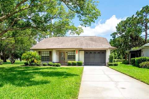 Pampas, NEW PORT RICHEY, FL 34654