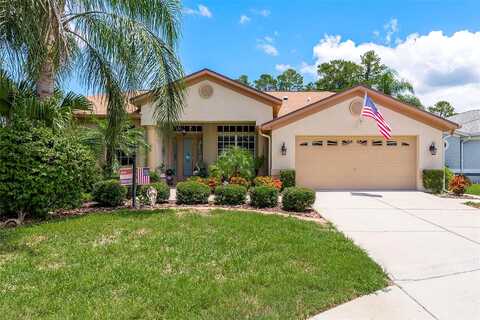 Dorian, NEW PORT RICHEY, FL 34654