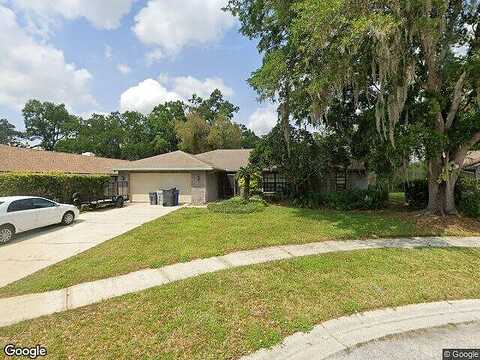Riflecrest, VALRICO, FL 33594